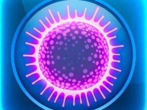 Sporos Puzzle Game - Strategy Challenge