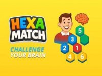 HexaMatch Number Puzzle