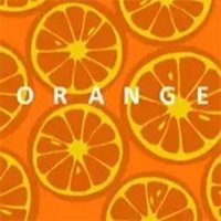 Orange Bonte Logic Puzzle