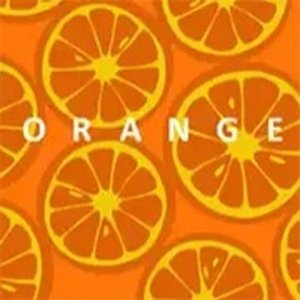 Orange Bonte Logic Puzzle