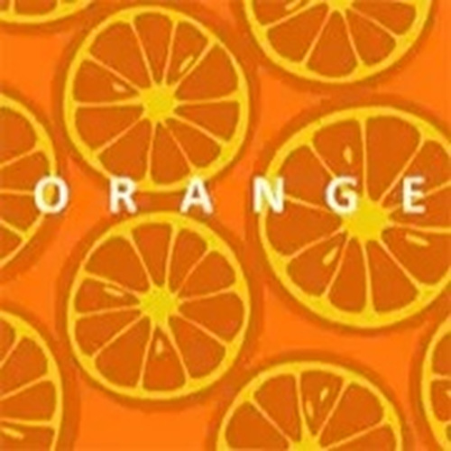 Orange Bonte Logic Puzzle