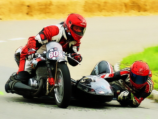Sidecar Racing Jigsaw Puzzle