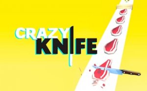 Kitchen Slicing Arcade Challenge
