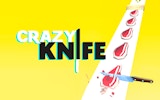 Crazy Chopping Kitchen Arcade