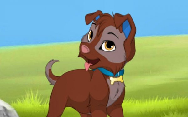 Canine Designer Play Lab