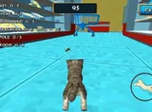 Paws & Play: Virtual Pet Explorer