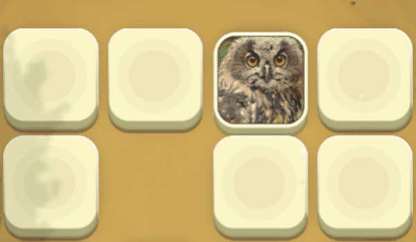 Wildlife Memory Card Challenge